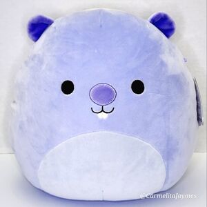 JAVARI 🦡 Lavender Groundhog Original Squishmallow NWT